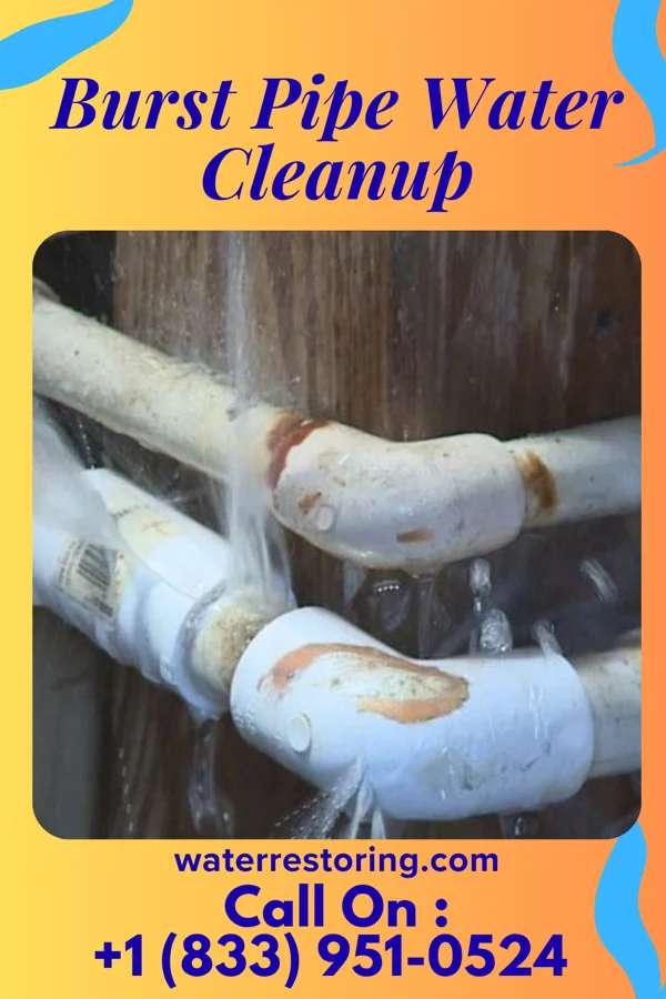 Burst Pipe Water Cleanup in New Paris, OH