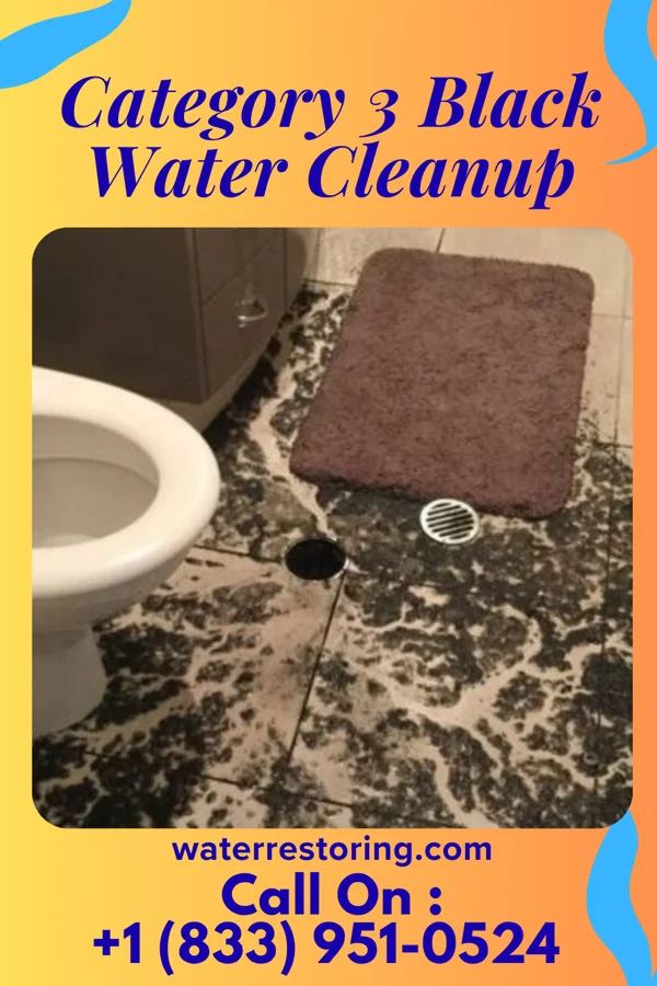 Category 3 Black Water Cleanup in New Paris, OH