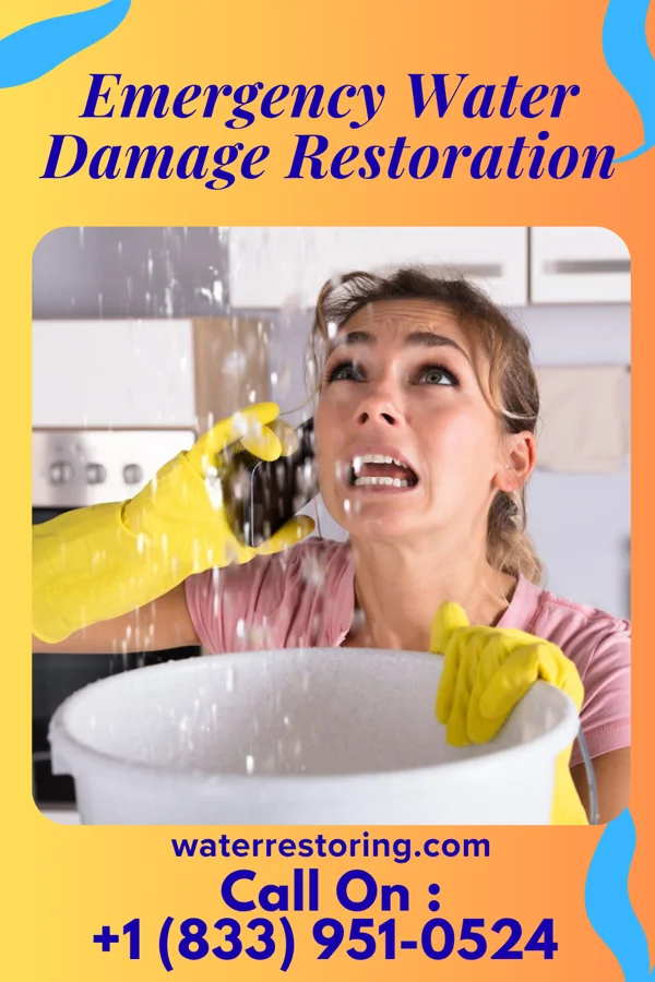 Emergency Water Damage Restoration in New Paris, OH