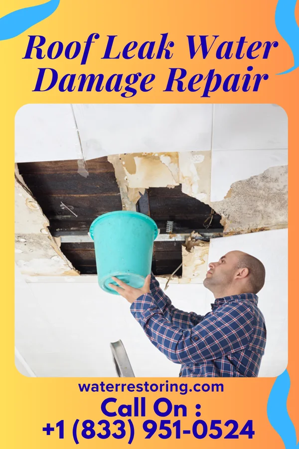 Roof Leak Water Damage Repair in New Paris, OH