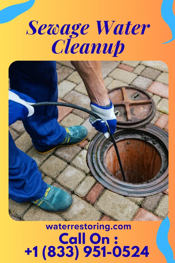 Sewage Water Cleanup in New Paris, OH